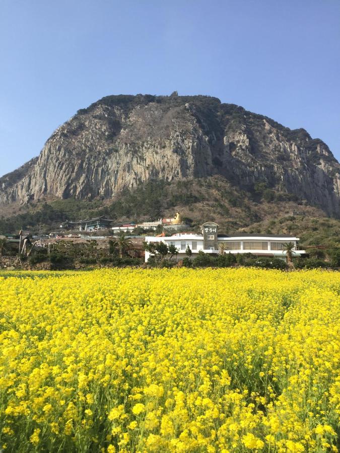 סאוגוויפו Jeju Moseulpo Hotel מראה חיצוני תמונה